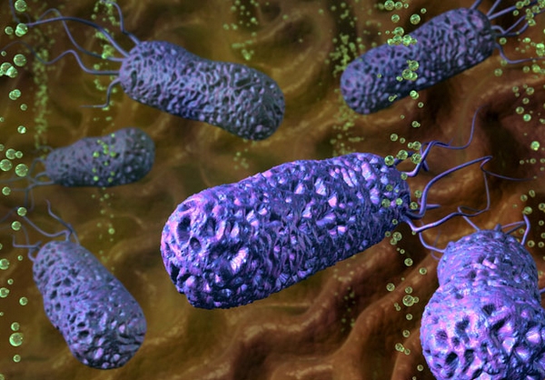 點擊打開原圖 /gkimage/2f/69/ji/2f69ji.png