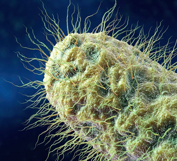 點擊打開原圖 /gkimage/uz/ij/t3/uzijt3.png