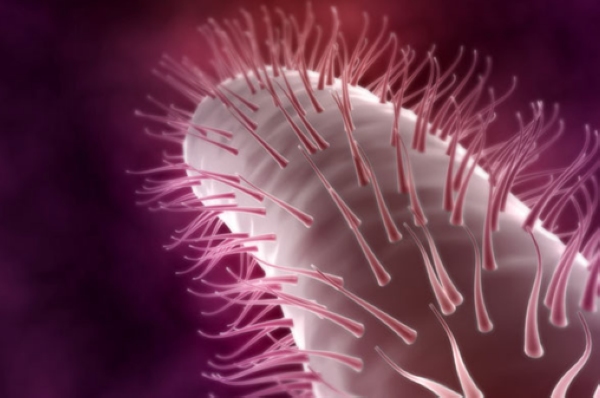 點擊打開原圖 /gkimage/nr/vq/hx/nrvqhx.png