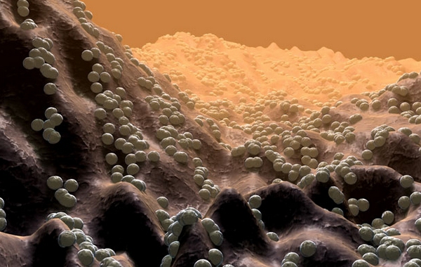 點擊打開原圖 /gkimage/sj/a1/ku/sja1ku.png