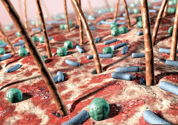 點擊打開原圖 /gkimage/5j/ck/1i/5jck1i.png