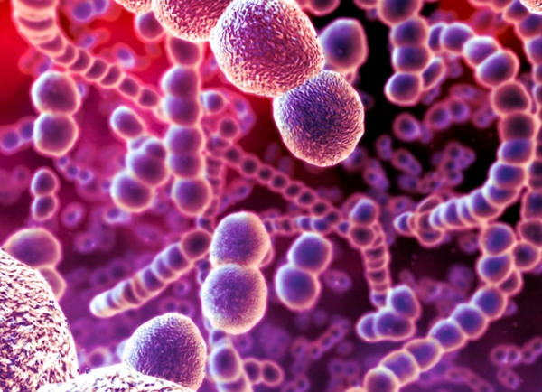 點擊打開原圖 /gkimage/pw/qn/e9/pwqne9.png