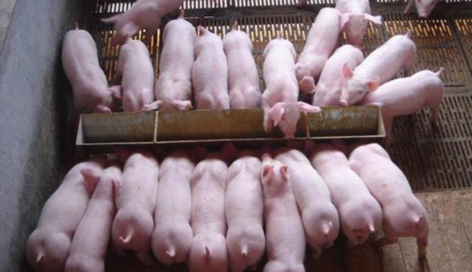 微信截圖_20240809111832.jpg 微信截圖_20240809111832.jpg