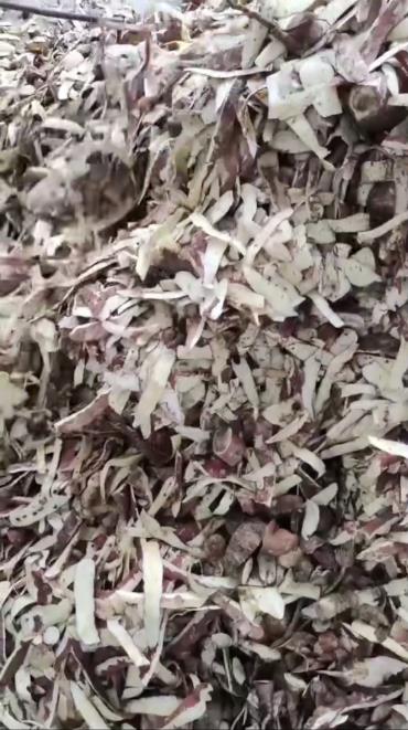 1706757322388964.jpg 1706757322388964.jpg