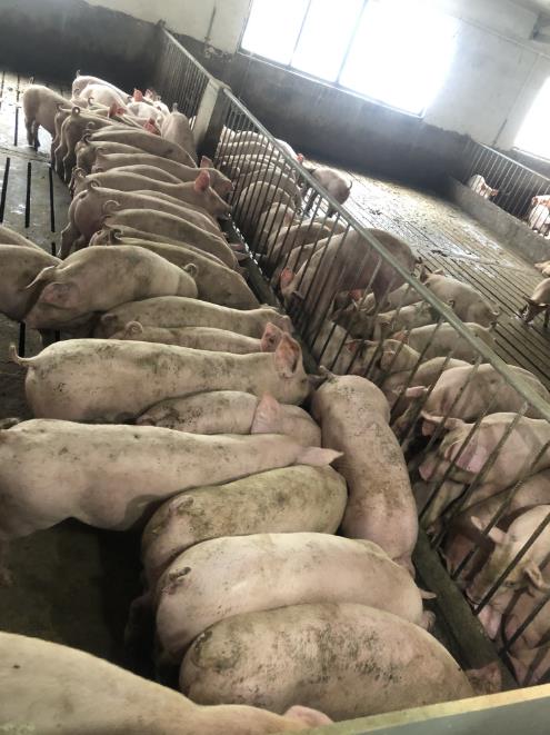 1706757572752754.jpg 1706757572752754.jpg