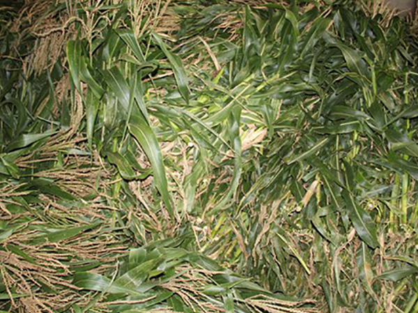 1725196493797.png 1725196493797.png