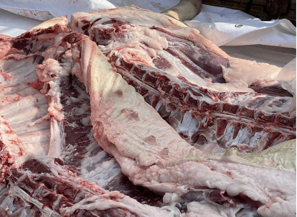 1725197031855.png 1725197031855.png