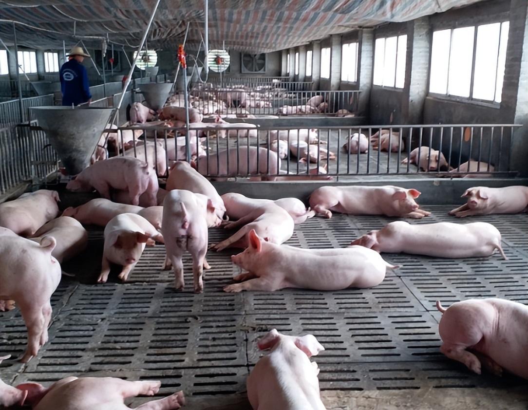 微信圖片_20241009094645.jpg 微信圖片_20241009094645.jpg