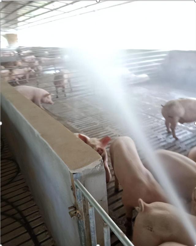 微信圖片_20241009094656.jpg 微信圖片_20241009094656.jpg