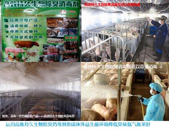 微信圖片_20241009094651.jpg 微信圖片_20241009094651.jpg