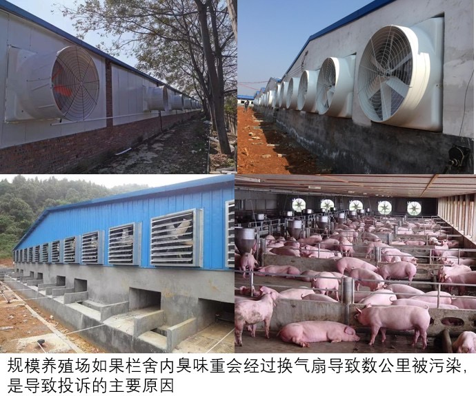 微信圖片_20241009094636.jpg 微信圖片_20241009094636.jpg