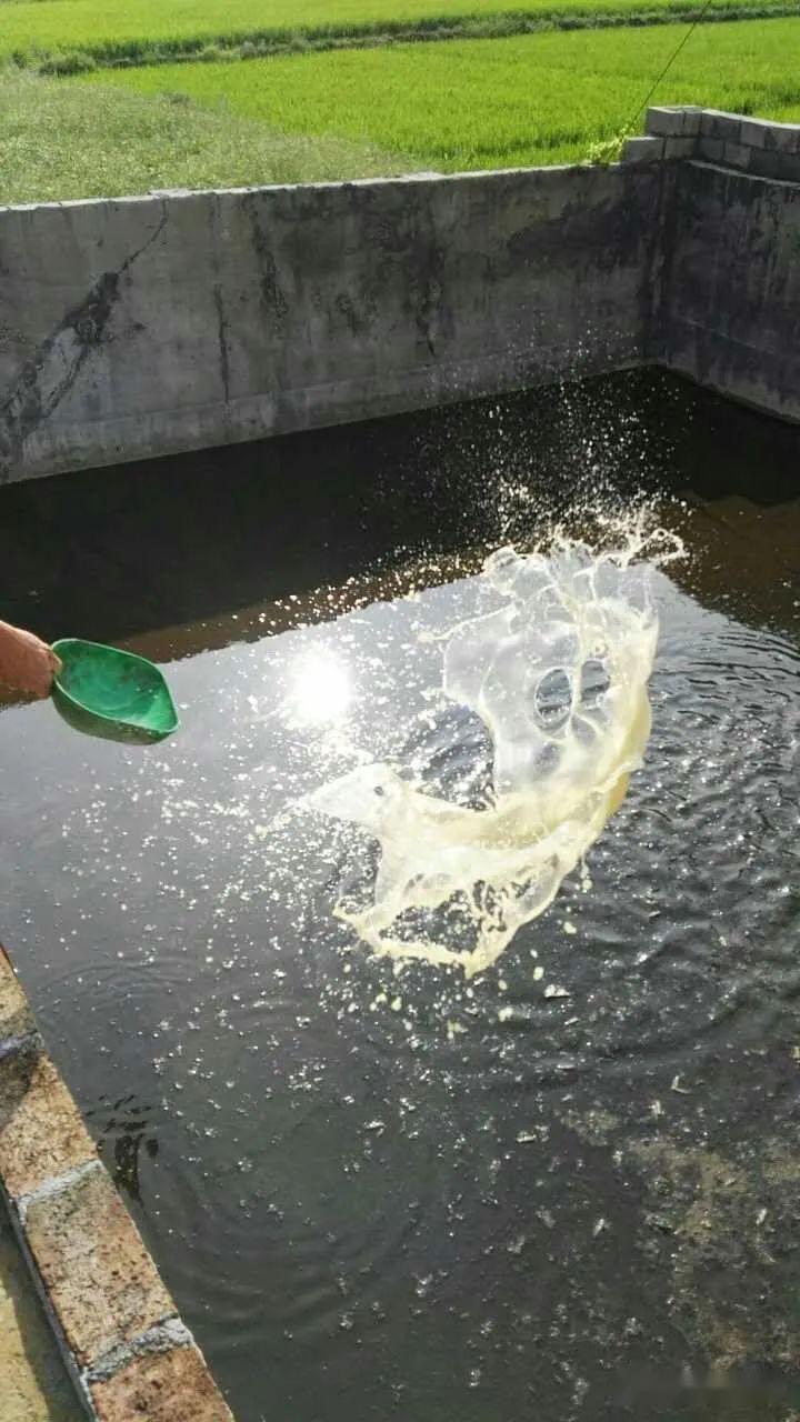 17282653718643980.jpg 17282653718643980.jpg