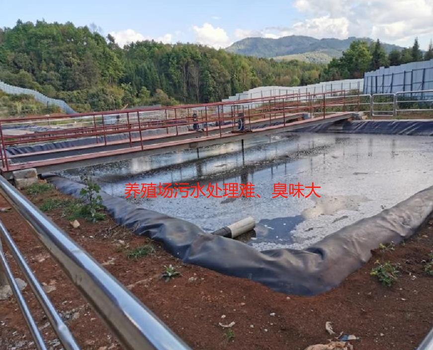 微信截圖_20241030121107.jpg 微信截圖_20241030121107.jpg