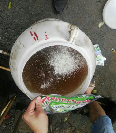 17284389638540709.jpg 17284389638540709.jpg