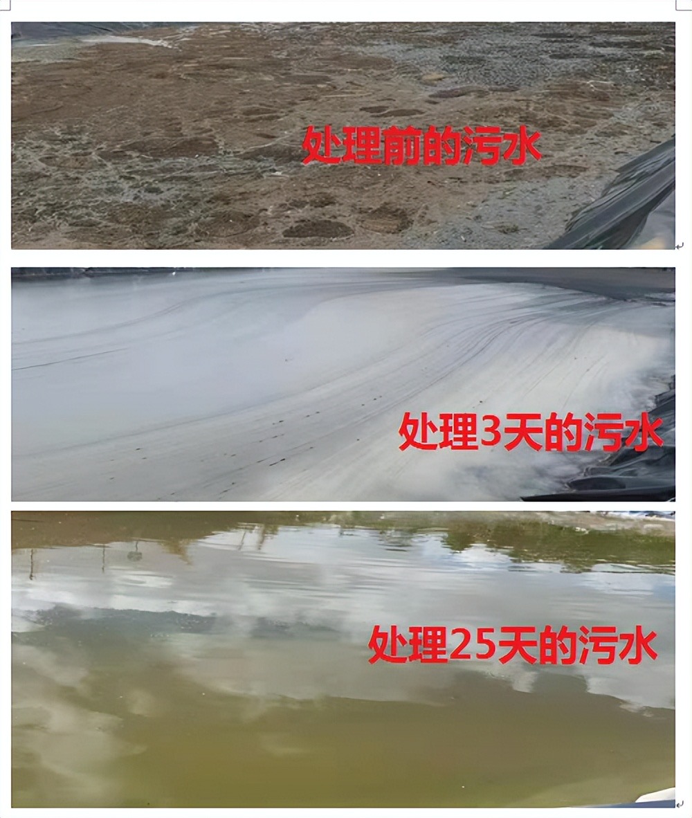 微信圖片_20241030114419.jpg 微信圖片_20241030114419.jpg