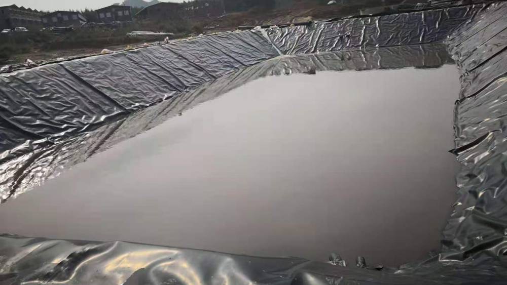 微信圖片_20241104113020.jpg 微信圖片_20241104113020.jpg