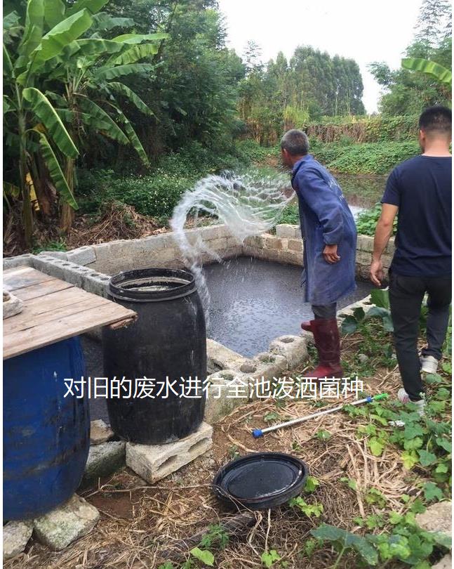 微信圖片編輯_20241104112927.jpg 微信圖片編輯_20241104112927.jpg