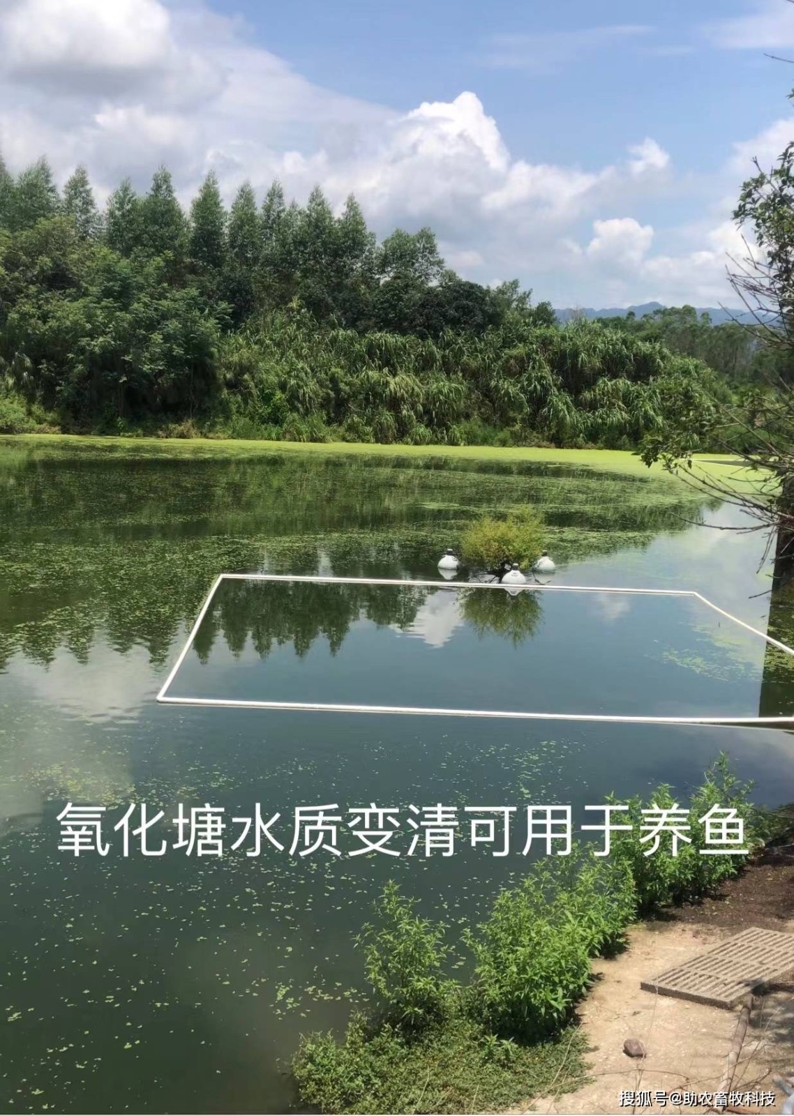 微信圖片_20241104112943.jpg 微信圖片_20241104112943.jpg