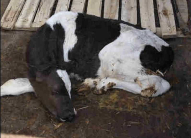 screenshot-1733367772608.png screenshot-1733367772608.png