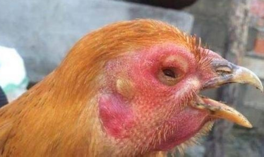 微信截圖_20250103091240.jpg 微信截圖_20250103091240.jpg