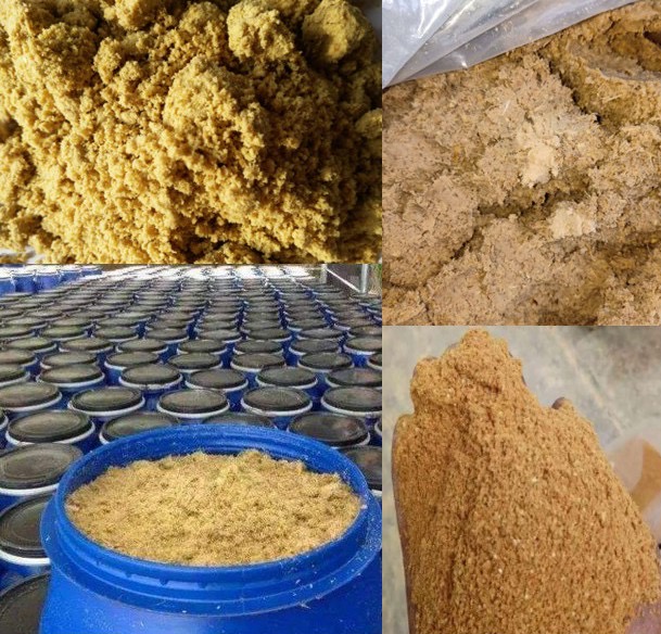 微信圖片_20250105104828.jpg 微信圖片_20250105104828.jpg