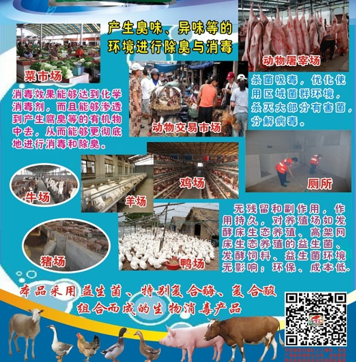 微信截圖_20250105103536.jpg 微信截圖_20250105103536.jpg