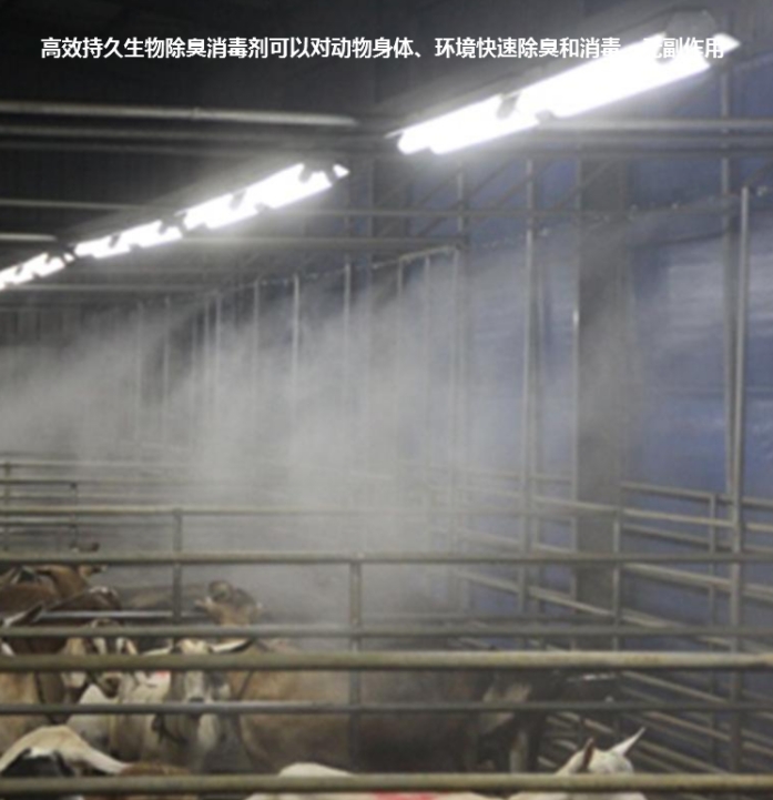 微信截圖_20250105103402.jpg 微信截圖_20250105103402.jpg