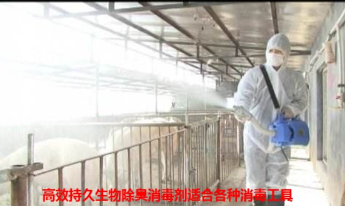 微信截圖_20250105103340.jpg 微信截圖_20250105103340.jpg