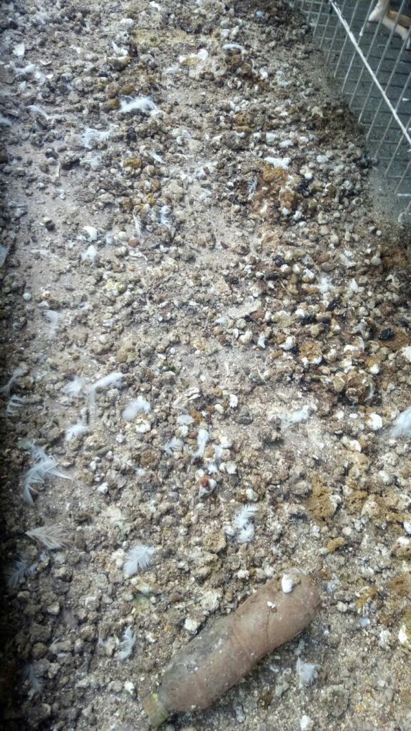 微信圖片_20250105154518.jpg 微信圖片_20250105154518.jpg