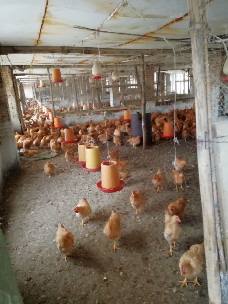 微信圖片_20250105154514.jpg 微信圖片_20250105154514.jpg