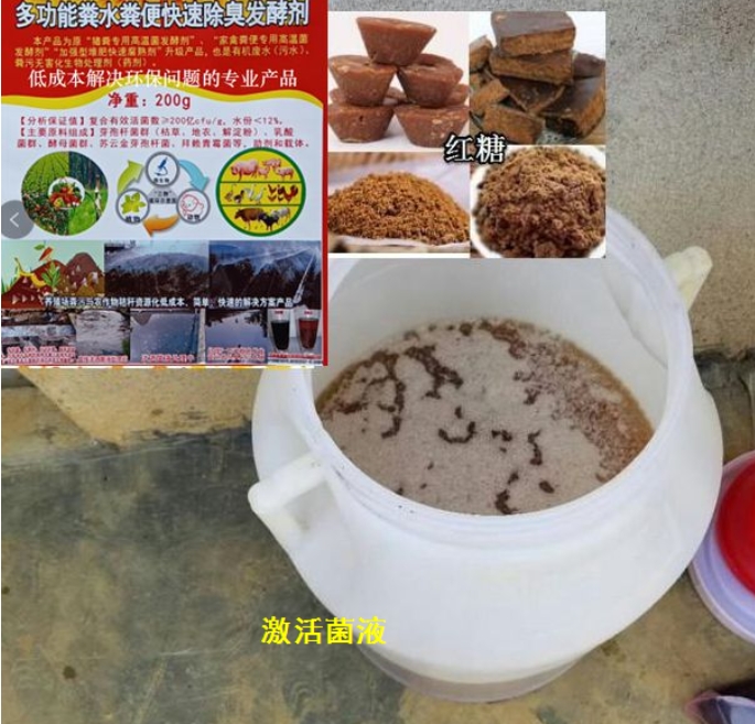 微信截圖_20250105153637.jpg 微信截圖_20250105153637.jpg