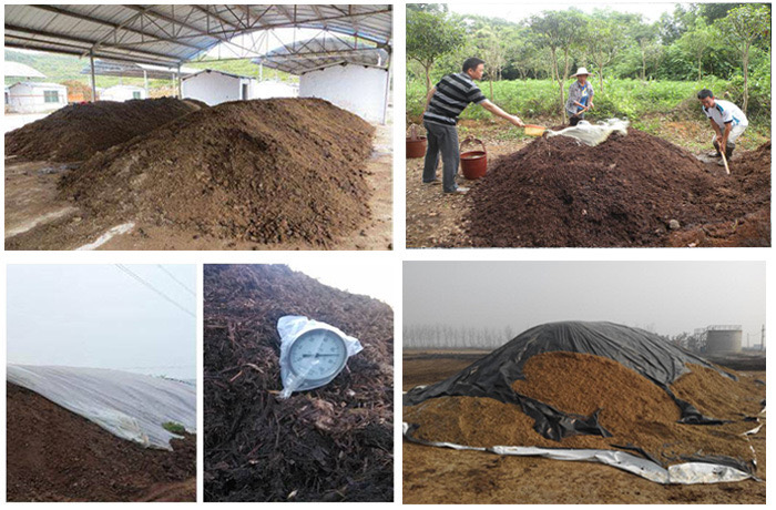 微信圖片_20250105154522.jpg 微信圖片_20250105154522.jpg