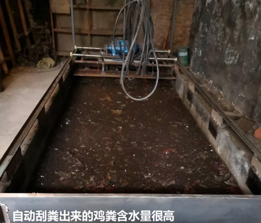 微信截圖_20250105153513.jpg 微信截圖_20250105153513.jpg