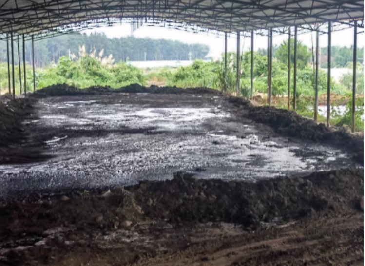 微信截圖_20250105153756.jpg 微信截圖_20250105153756.jpg