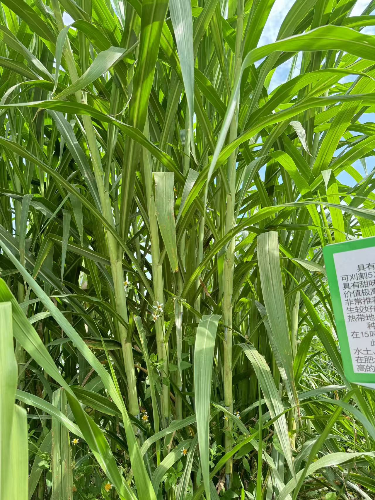 QQ圖片20250116105405.jpg QQ圖片20250116105405.jpg