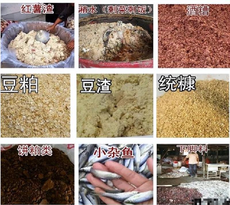 微信圖片_20250212102545.jpg 微信圖片_20250212102545.jpg