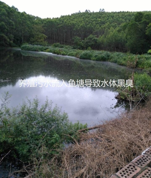 微信截圖_20250218105228.jpg 微信截圖_20250218105228.jpg