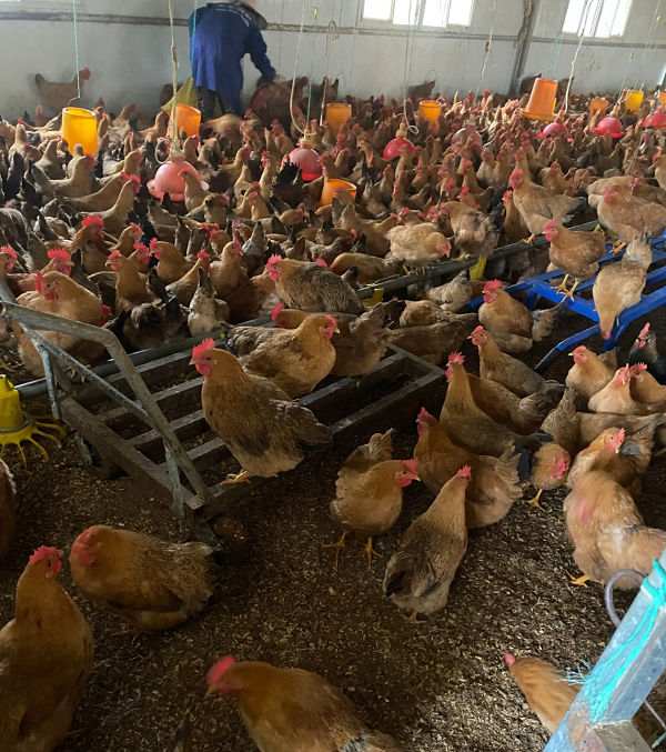 1740385327885 - 副本.png