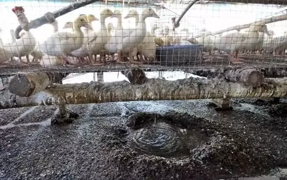 QQ圖片20230422103853.png QQ圖片20230422103853.png