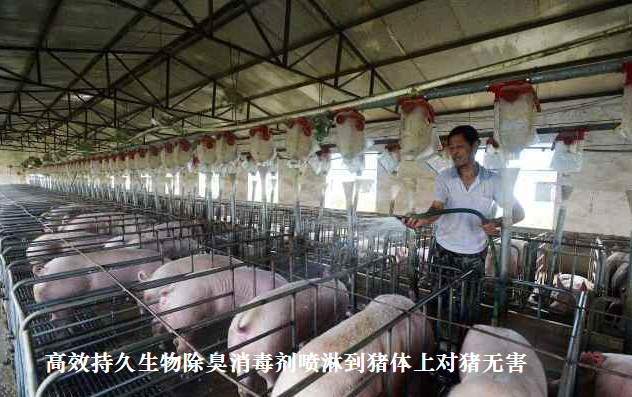 QQ圖片20250221154259.png QQ圖片20250221154259.png