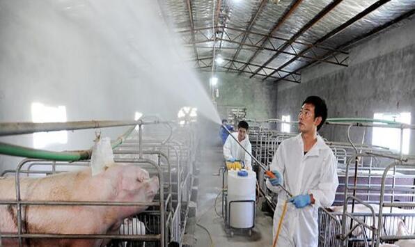 QQ圖片20250221154055.jpg QQ圖片20250221154055.jpg