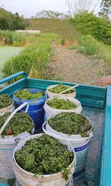 微信截圖_20250303112537.jpg 微信截圖_20250303112537.jpg