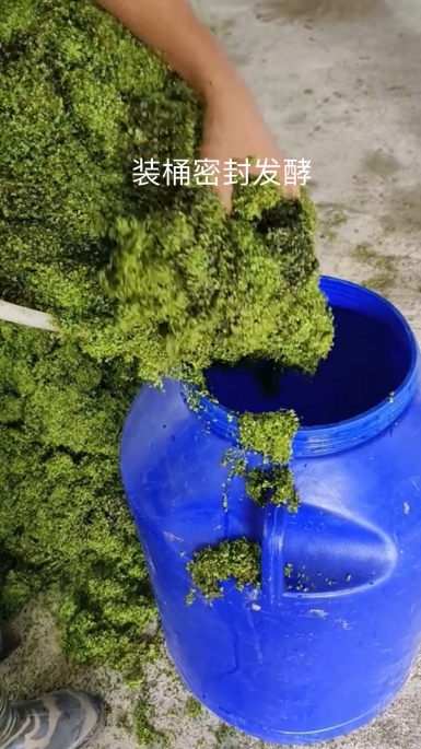 微信截圖_20250303112447.jpg 微信截圖_20250303112447.jpg