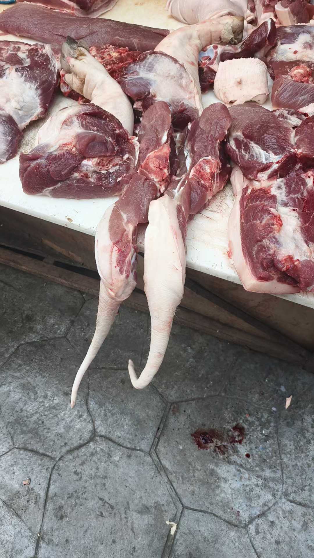 微信圖片_20250303112346.jpg 微信圖片_20250303112346.jpg