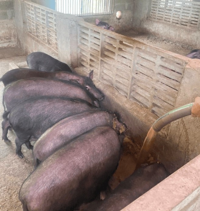 微信截圖_20250303112606.jpg 微信截圖_20250303112606.jpg