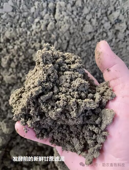 QQ圖片20240229161116.jpg QQ圖片20240229161116.jpg