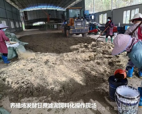 QQ圖片20240229161142.jpg QQ圖片20240229161142.jpg