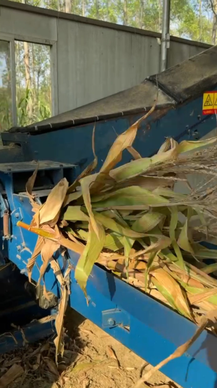 QQ圖片20250327112812.png QQ圖片20250327112812.png