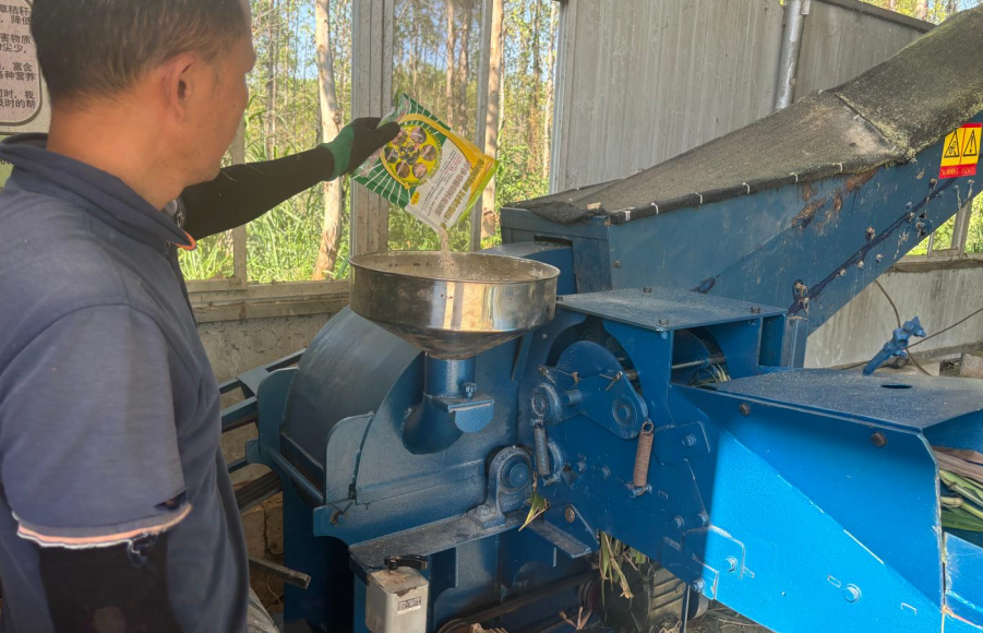 QQ圖片20250327112852.png QQ圖片20250327112852.png