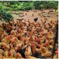 微信截圖_20250419093731.png 微信截圖_20250419093731.png